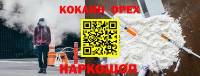 гидра Новозыбков