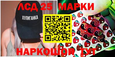 mdpv Новодвинск