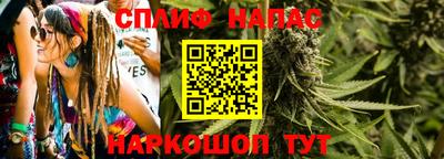 mdpv Новодвинск