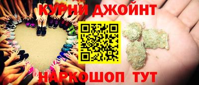 гидра Новозыбков