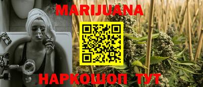 гидра Новозыбков