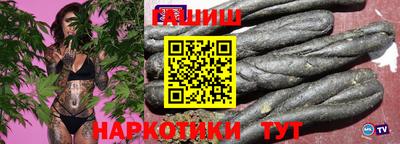 гидра Новозыбков